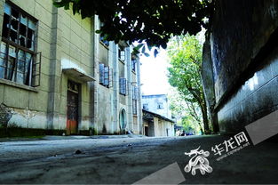 重庆20专家 探 山 原来沙坪坝竟藏着这样神秘的宝地