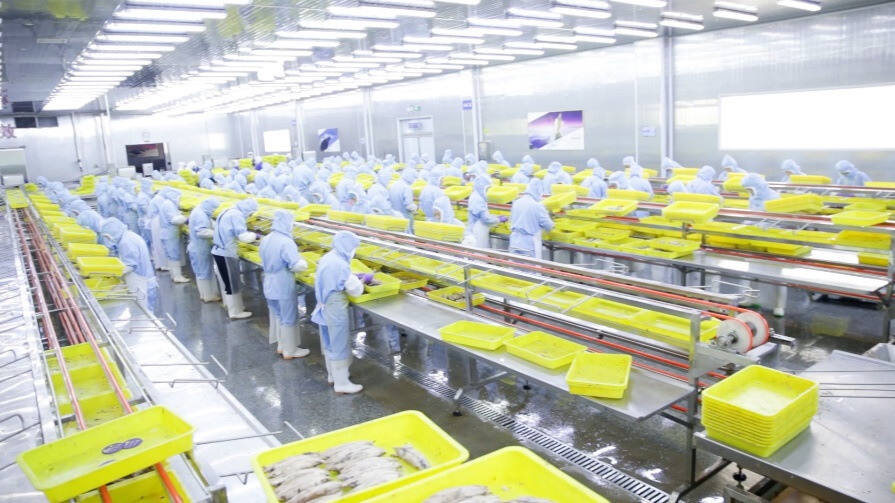 从开民宿到卖海鲜,85后海归把鱿鱼仔卖到脱销,外贸工厂成功转内销
